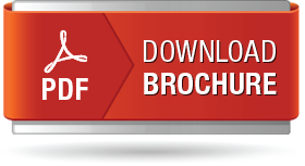 https://www.dawgen.global/wp-content/uploads/2023/08/download-brochure.png