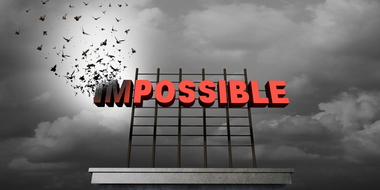 Cultivating Success: How Dawgen Global Harnesses the Law of Attraction in Business Coaching