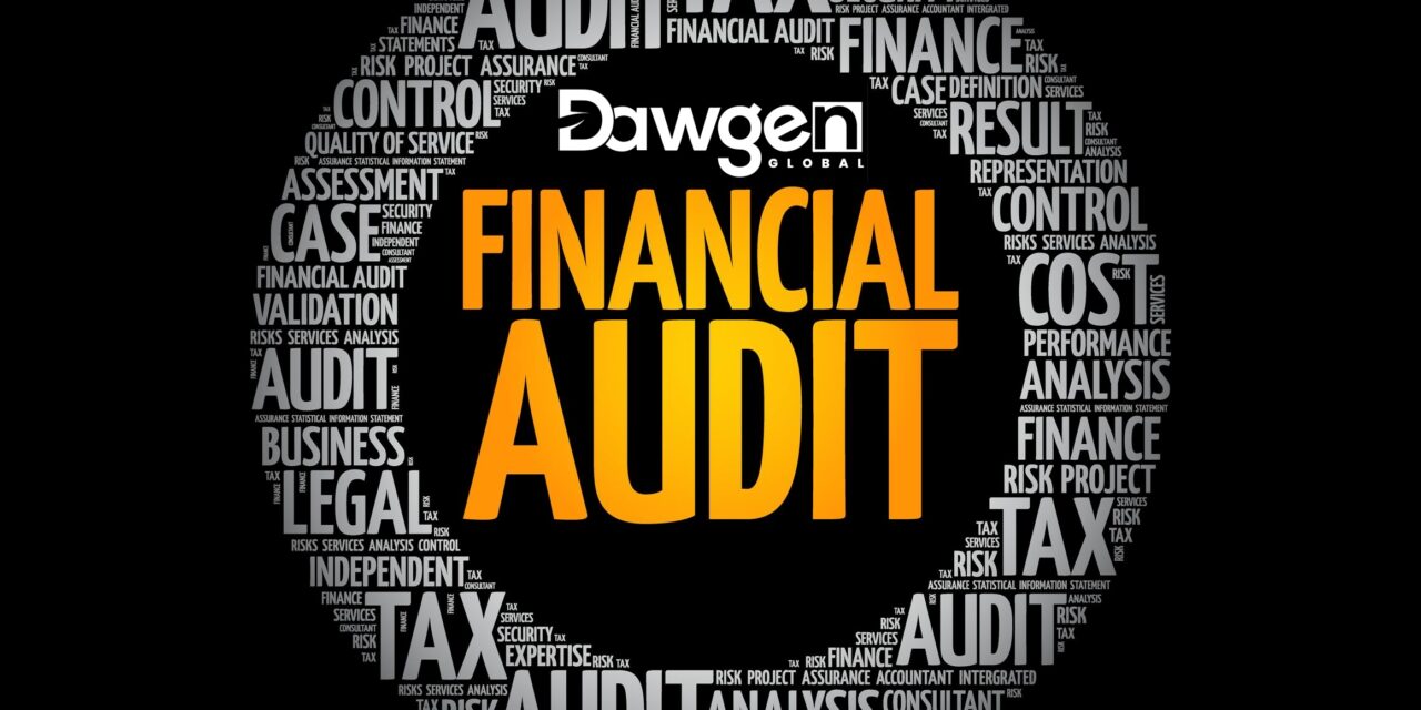 Beyond the Numbers: How Financial Audits Strengthen Business Integrity