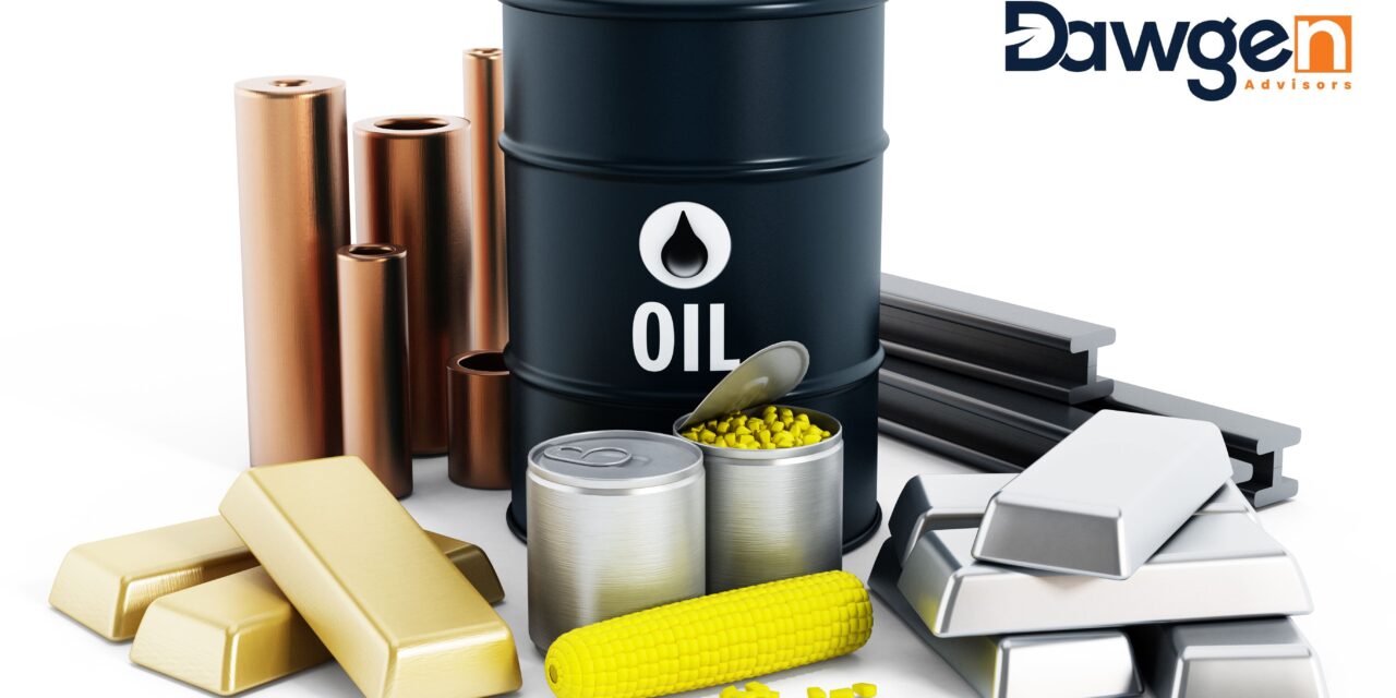 Beyond Oil: Building Fiscal Resilience and Institutional Capacity in Guyana