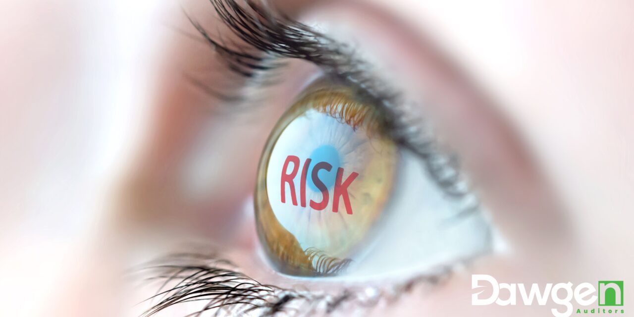 From Risk Detection to Risk Prevention: The Auditor’s Expanding Role in Corporate Governance