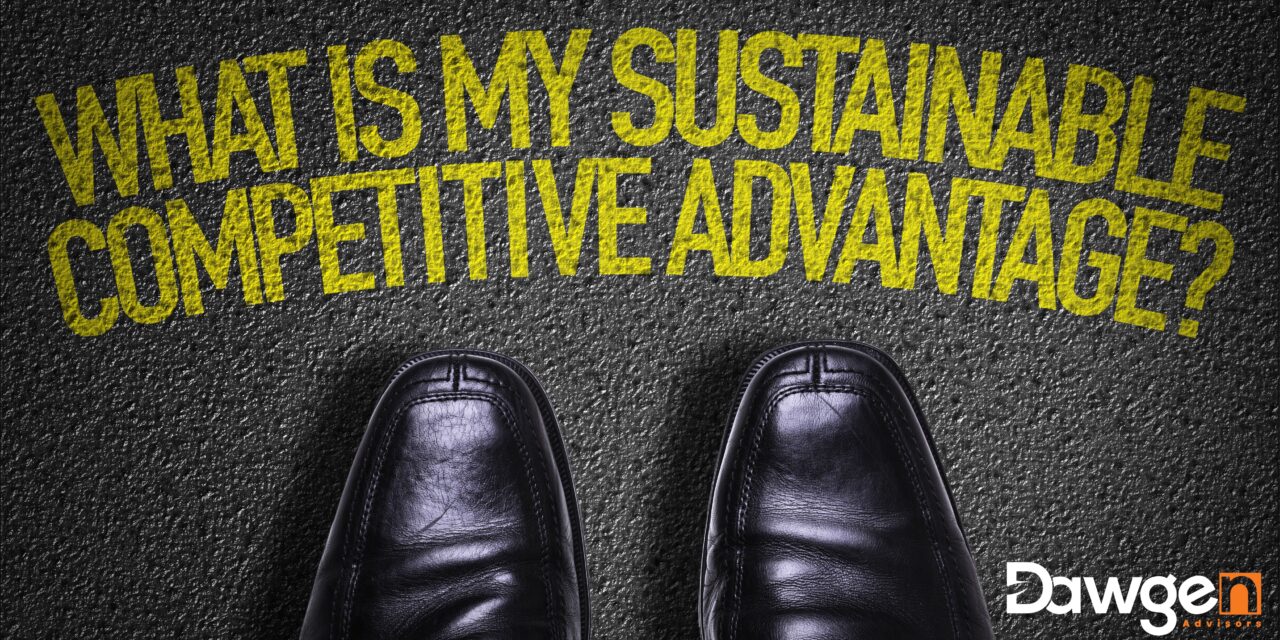 Sustainable Growth with Actuarial Foresight: Navigating the Intersection of Finance and Risk