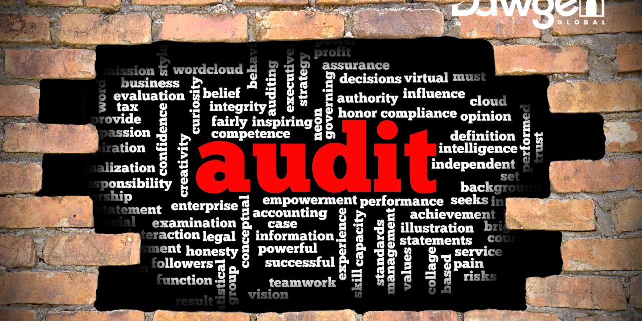 Building a Continuous Auditing Program – A Step-by-Step Guide