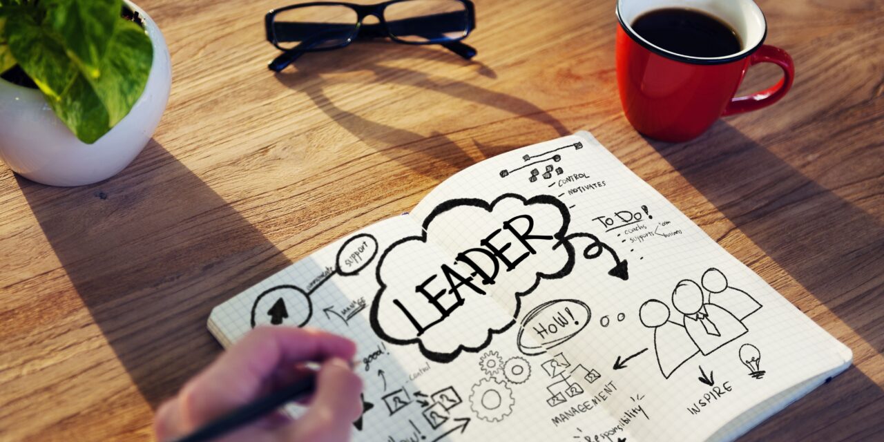 From Founder to CEO: Coaching Transitions in Entrepreneurial Businesses