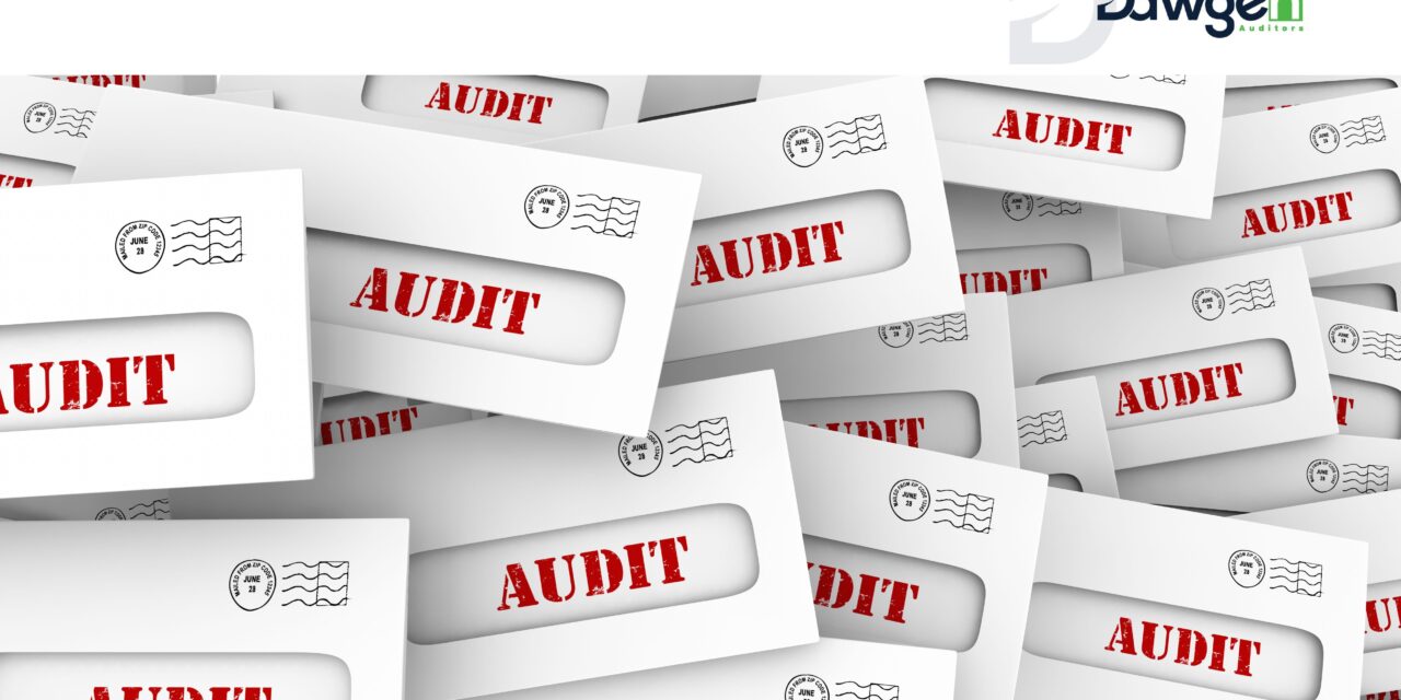 Auditing AI: Why It Matters in Today’s Business Landscape