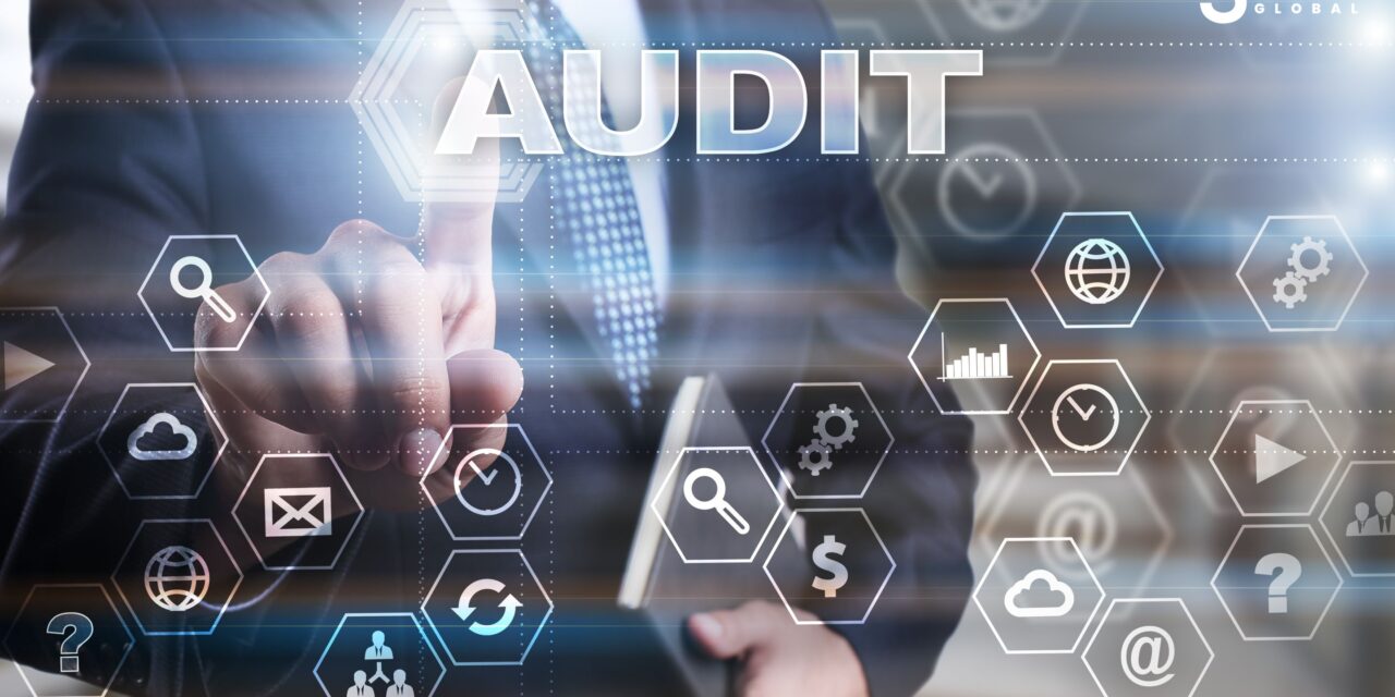 Audit as a Strategic Tool: Enhancing Confidence in Decision-Making