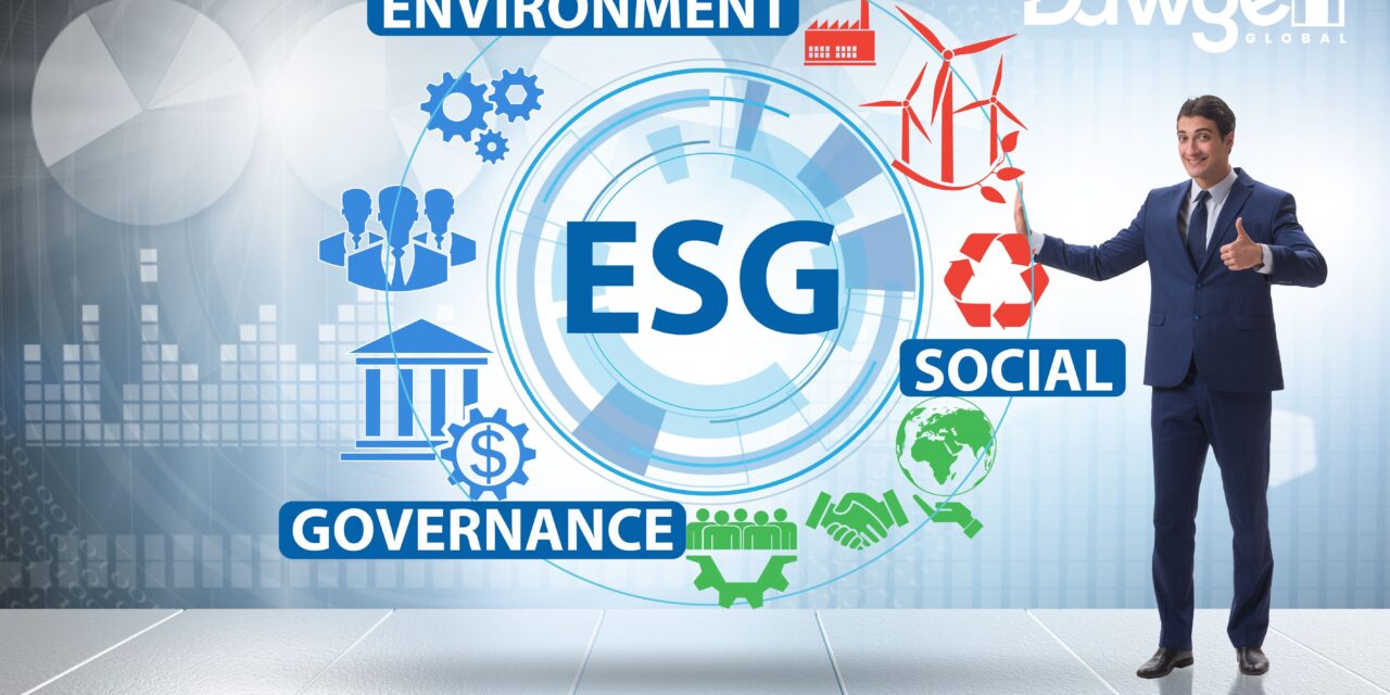 Navigating ESG & CSRD Readiness Without the Big Firm Price Tag