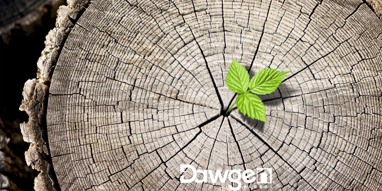 From Monopoly to Market Dynamism: Driving Growth in The Bahamas