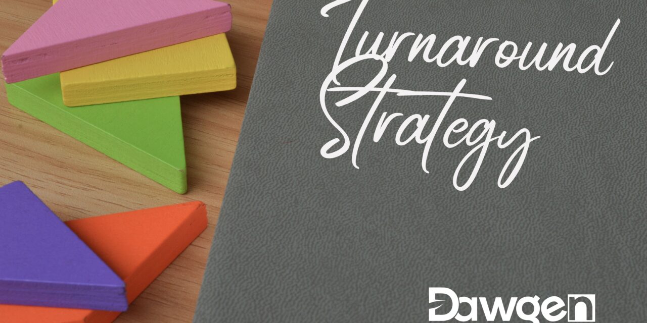 Scaling Without Borders: Virtual CFO Strategies for Caribbean SMEs