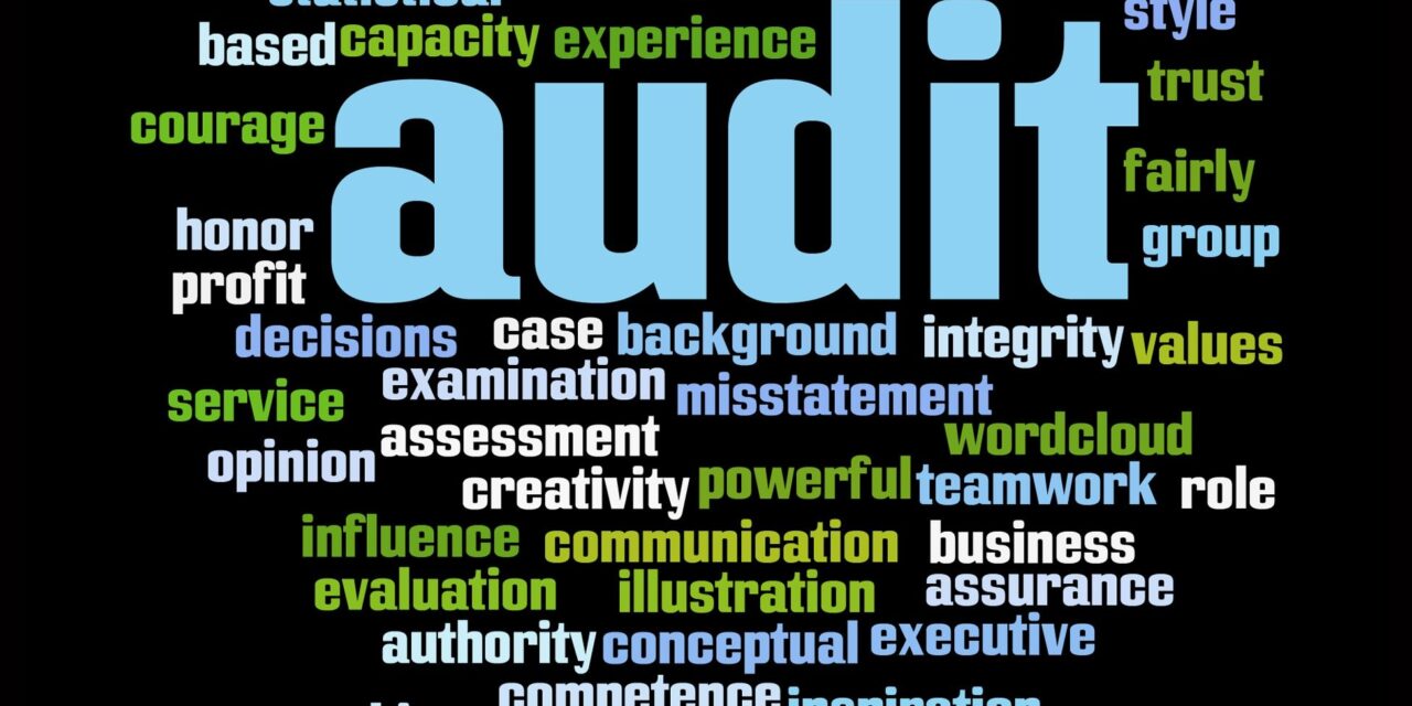 Professional Skepticism: The Cornerstone of Effective Auditing