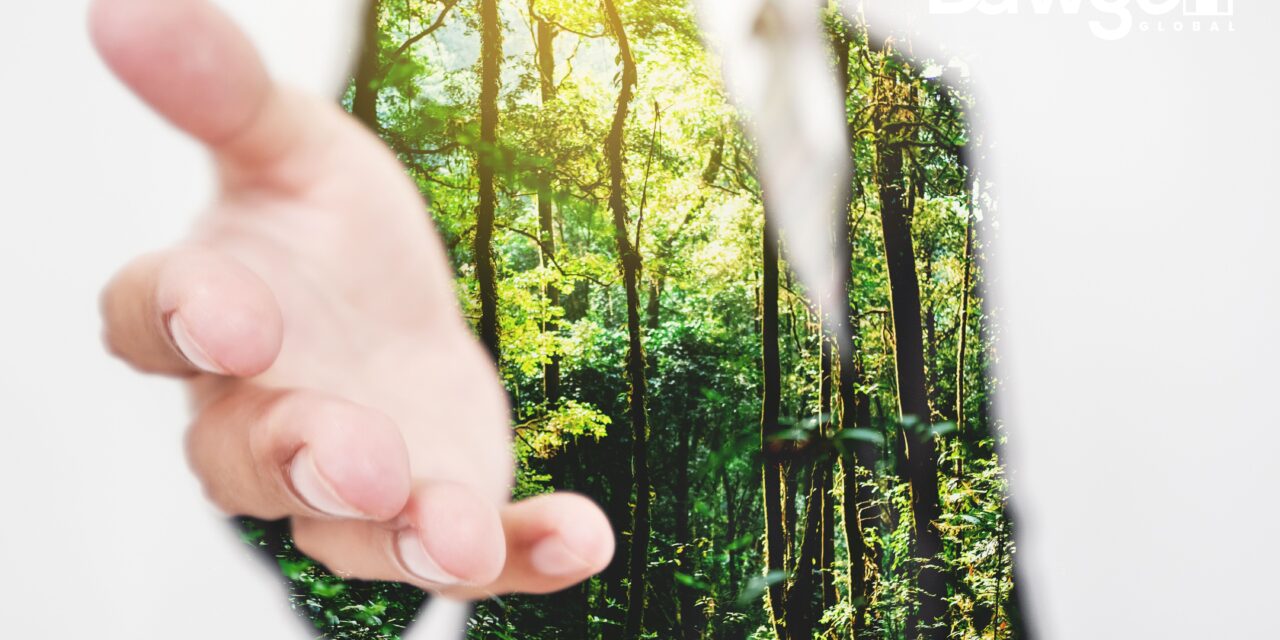 The Business Case for Green Tourism: Unlocking Revenue, Reputation, and Resilience