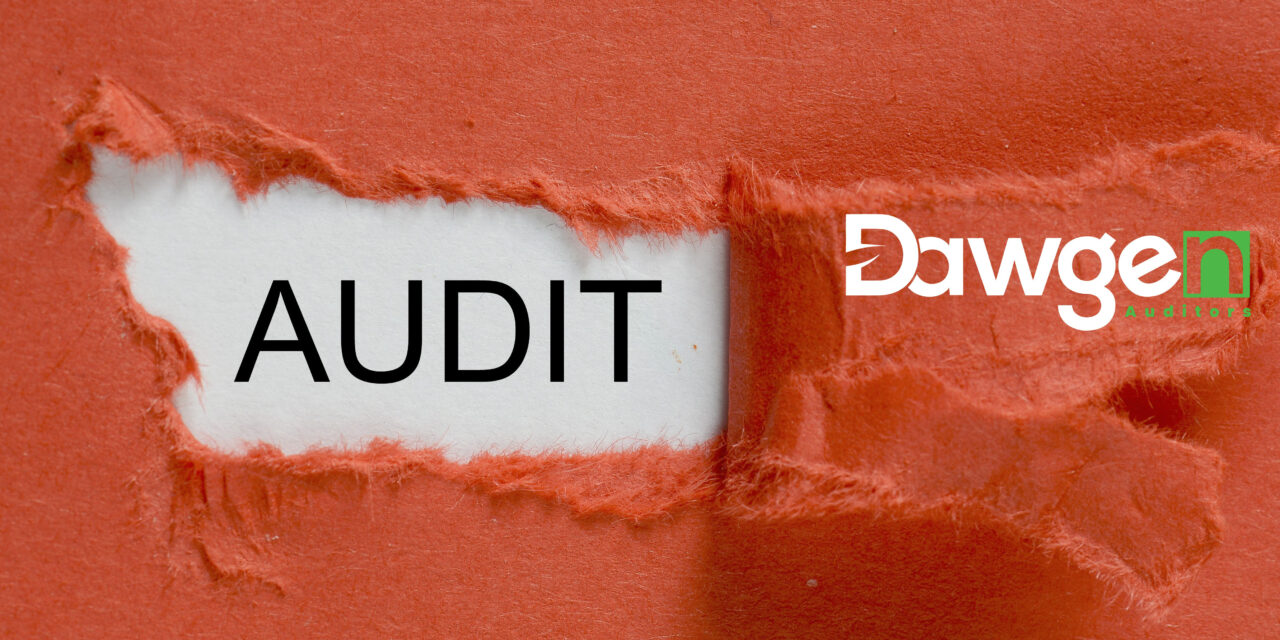 Public Sector & Regulated Industries: Tailoring IA360™ to High-Scrutiny Environments