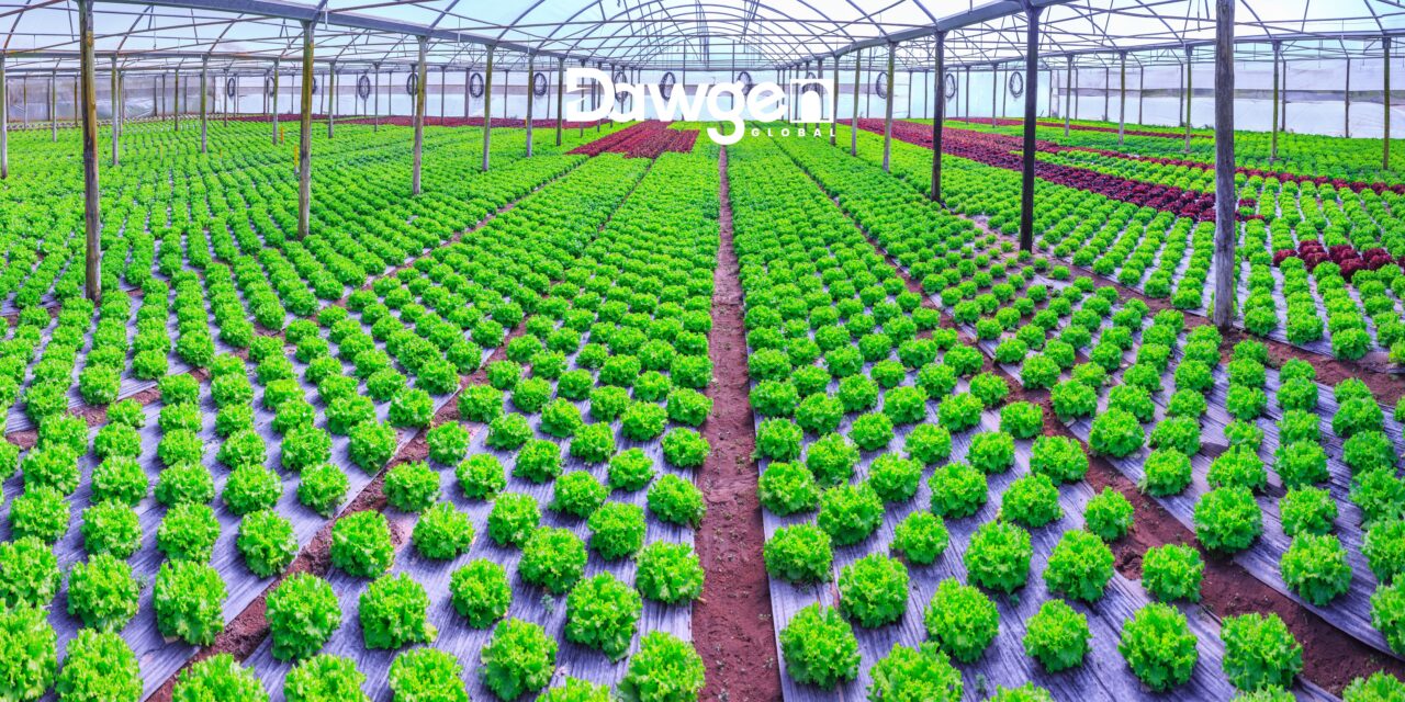 Why Caribbean Agribusiness Must Transform Now – Introducing the Dawgen C-AGRI™ Framework