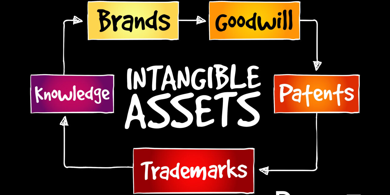 Intangible Assets & Long-Lived Rights Under Stress (Policyholders / Non-Insurers)
