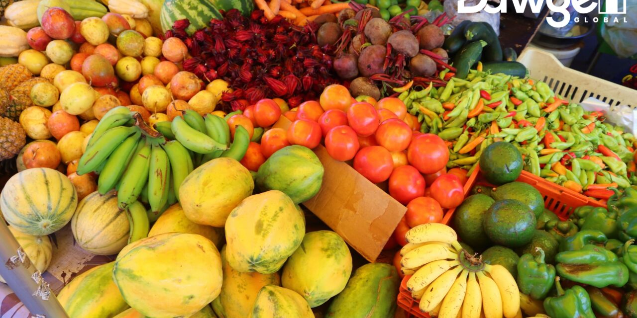 Feeding Markets, Facing Shocks: Dawgen CARI-VAL Agri™ for Valuing Agriculture and Agribusiness in the Caribbean