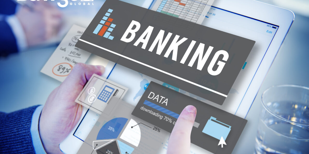 The Credit-Ready Borrower: Building Financial Governance and Reporting That Banks Reward