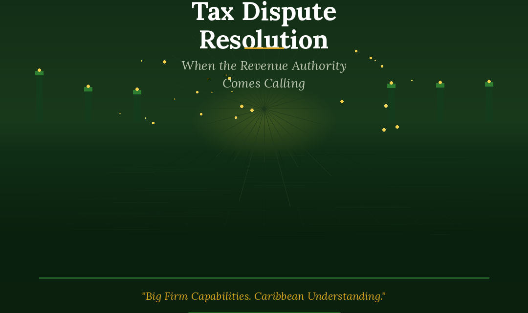 Tax Dispute Resolution: When the Revenue Authority Comes Calling