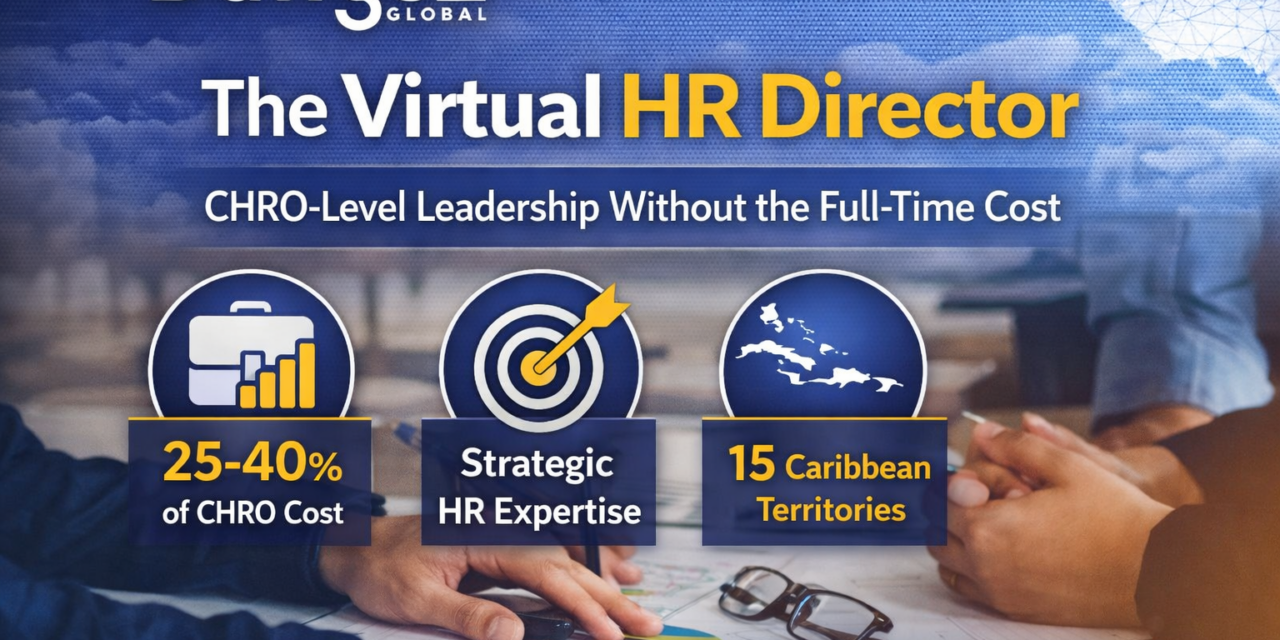 The Virtual HR Director: CHRO-Level Strategic HR Leadership Without the Full-Time Cost