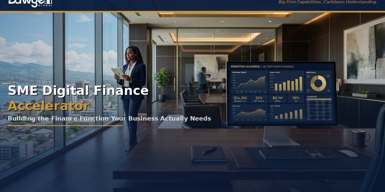 SME Digital Finance Accelerator: Building the Finance Function Your Business Actually Needs