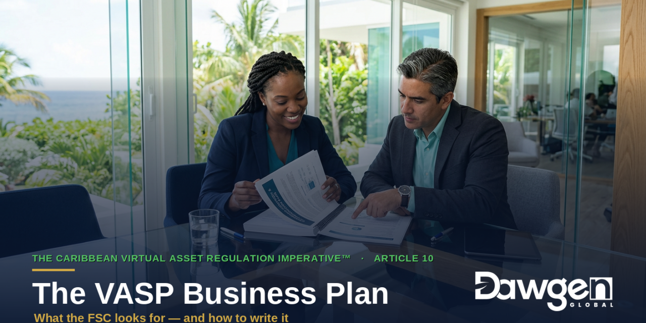 Writing a VASP Business Plan the FSC Will Accept